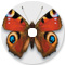 Wir bedrucken CDs im Digitaldruck und im Offsetdruck