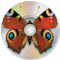 CDs bedrucken
